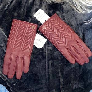Leather Coach tech glove